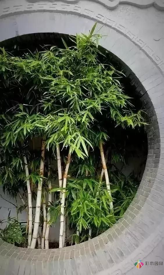 庭院设计才这样设计才好看