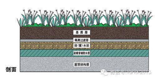 景观规范设计-屋顶花园设计规范摘要