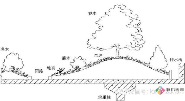 景观规范设计-屋顶花园设计规范摘要