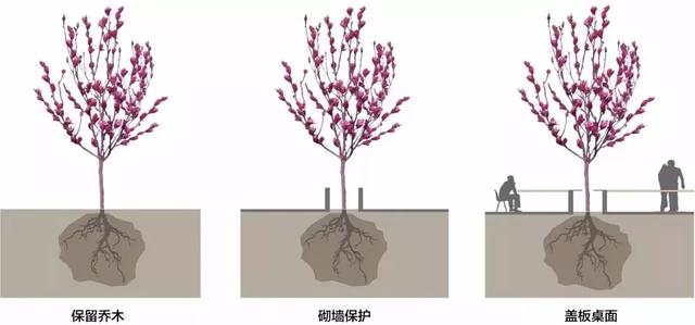 2019新名词树桌花园庭院设计