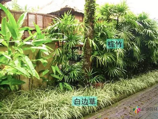 今后居住区景观设计的发展趋势如何？