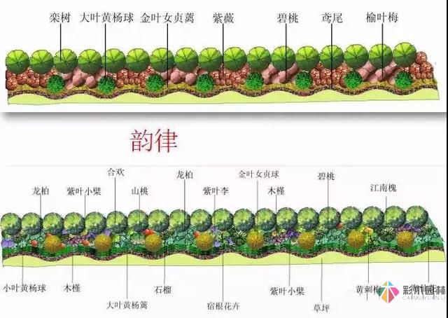 园林绿化及园林绿化施工过程全解