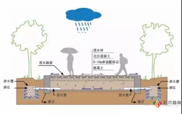 园林绿化及园林绿化施工过程全解