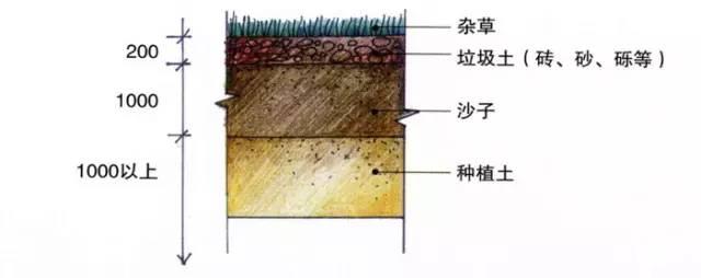 庭院设计 | 花园、庭院设计详细流程