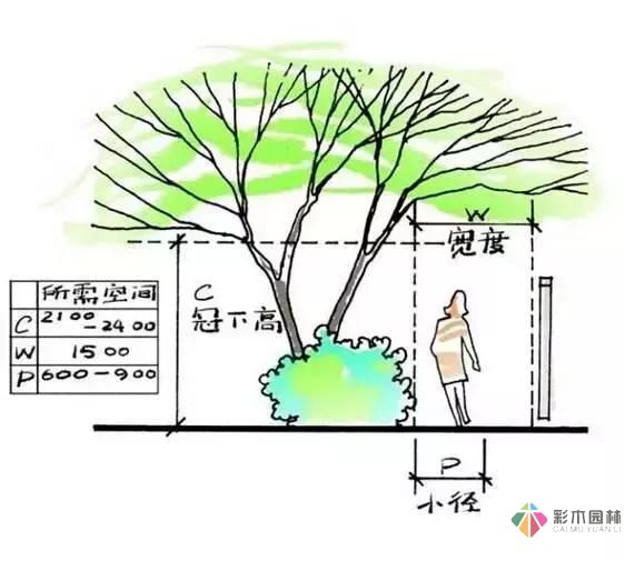 把握花园设计要素，建造实用私家花园