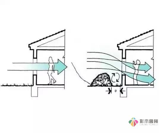 把握花园设计要素，建造实用私家花园