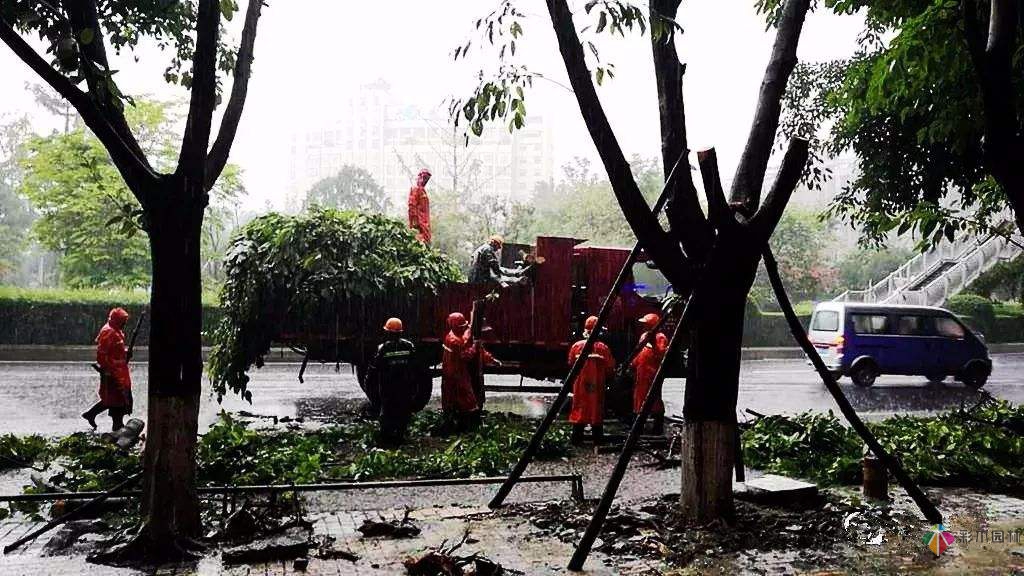 夏季雨季园林景观工程施工要注意哪几点？