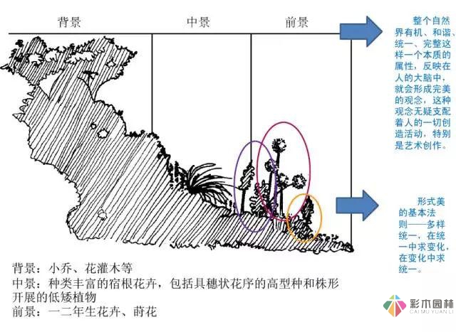 庭院花境园艺设计和植物搭配需要哪些要求？