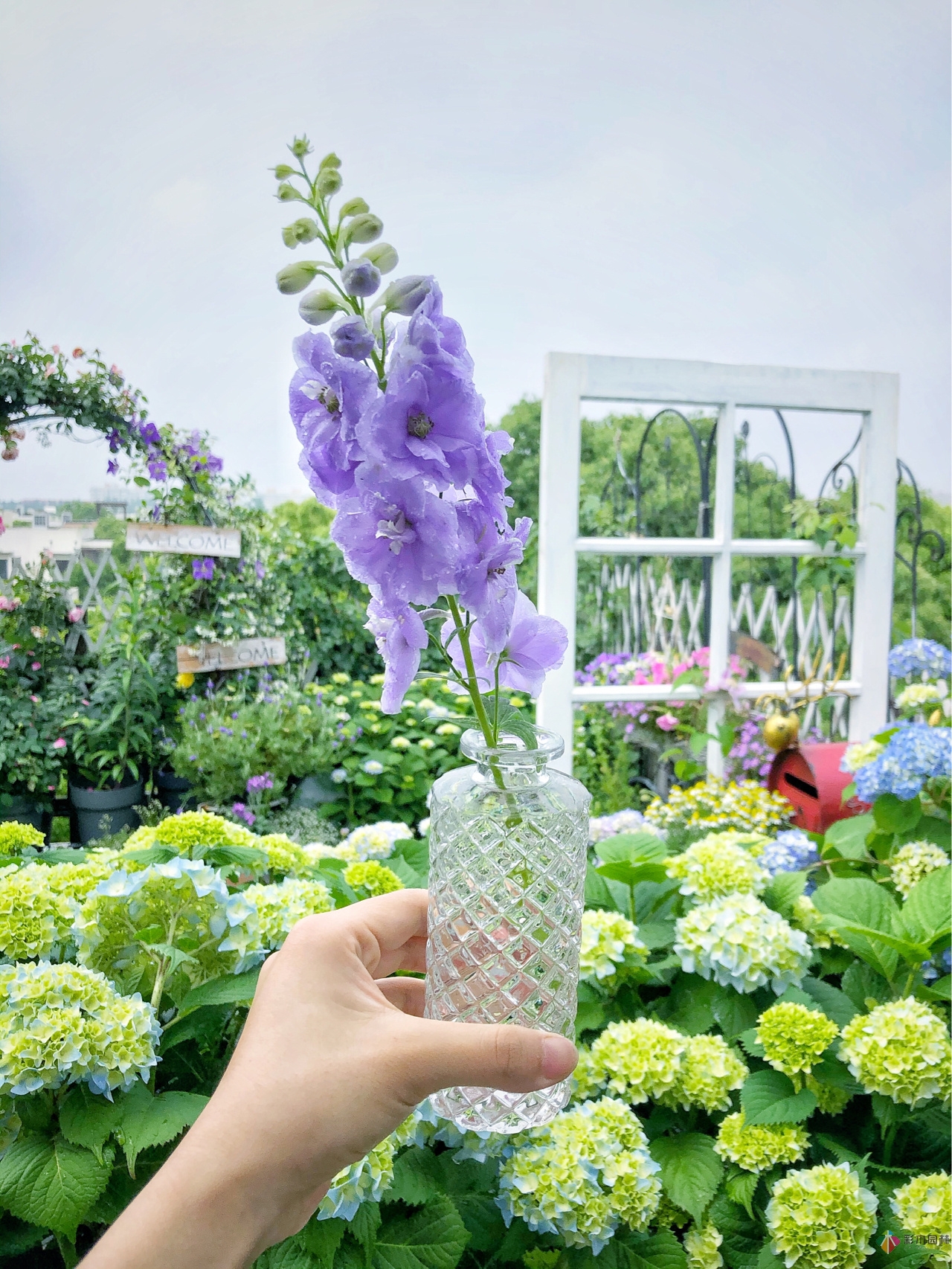 花了4年时间搭建了13㎡的屋顶露台花园，每个角落都美如画