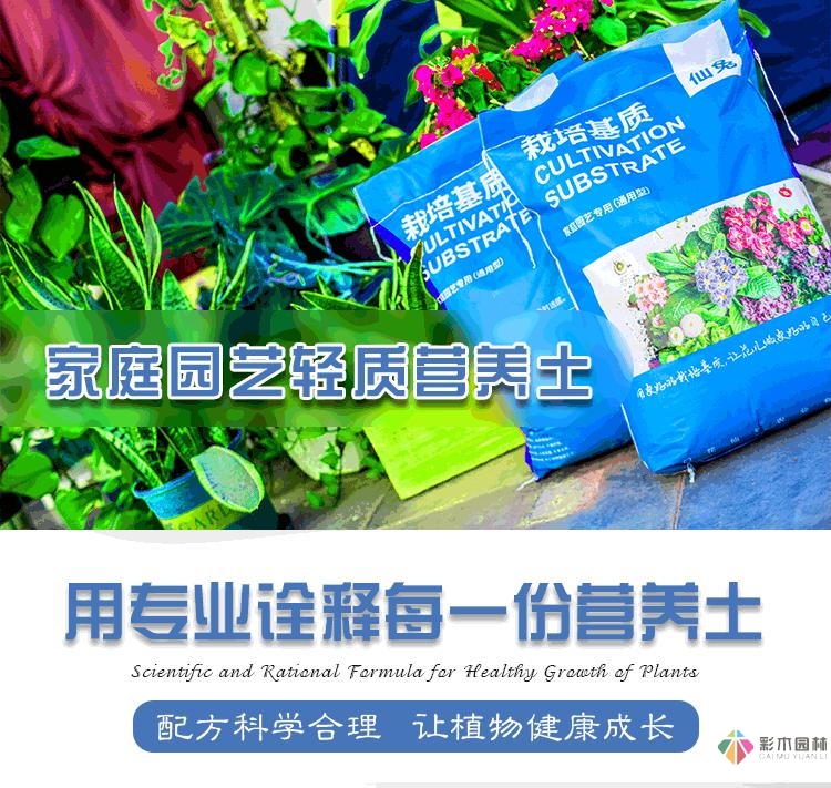 旧房改造:DIY 花园攻略，快速利用闲置空间，很漂亮。